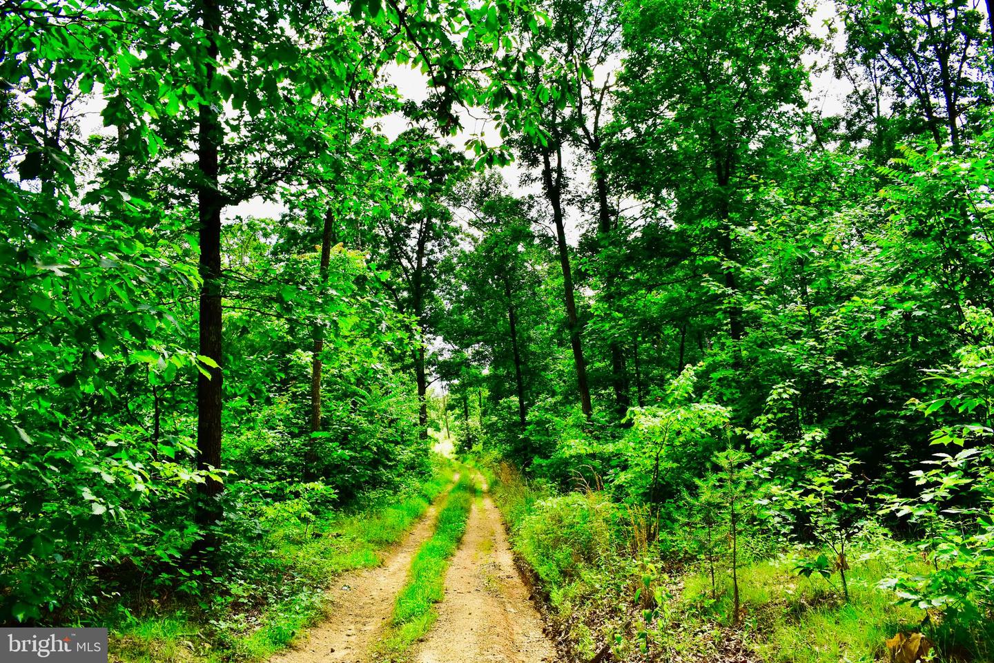 439 ACRES LAUREL GROVE RD., WINCHESTER, Virginia 22602, ,Farm,For sale,439 ACRES LAUREL GROVE RD.,VAFV2024650 MLS # VAFV2024650