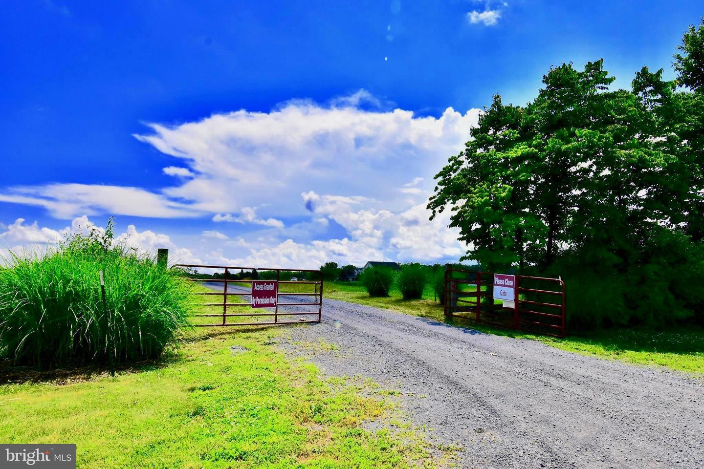 439 ACRES LAUREL GROVE RD., WINCHESTER, Virginia 22602, ,Farm,For sale,439 ACRES LAUREL GROVE RD.,VAFV2024650 MLS # VAFV2024650