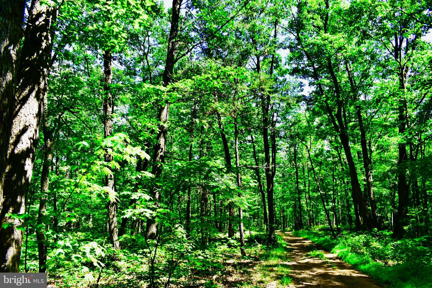439 ACRES LAUREL GROVE RD., WINCHESTER, Virginia 22602, ,Farm,For sale,439 ACRES LAUREL GROVE RD.,VAFV2024650 MLS # VAFV2024650