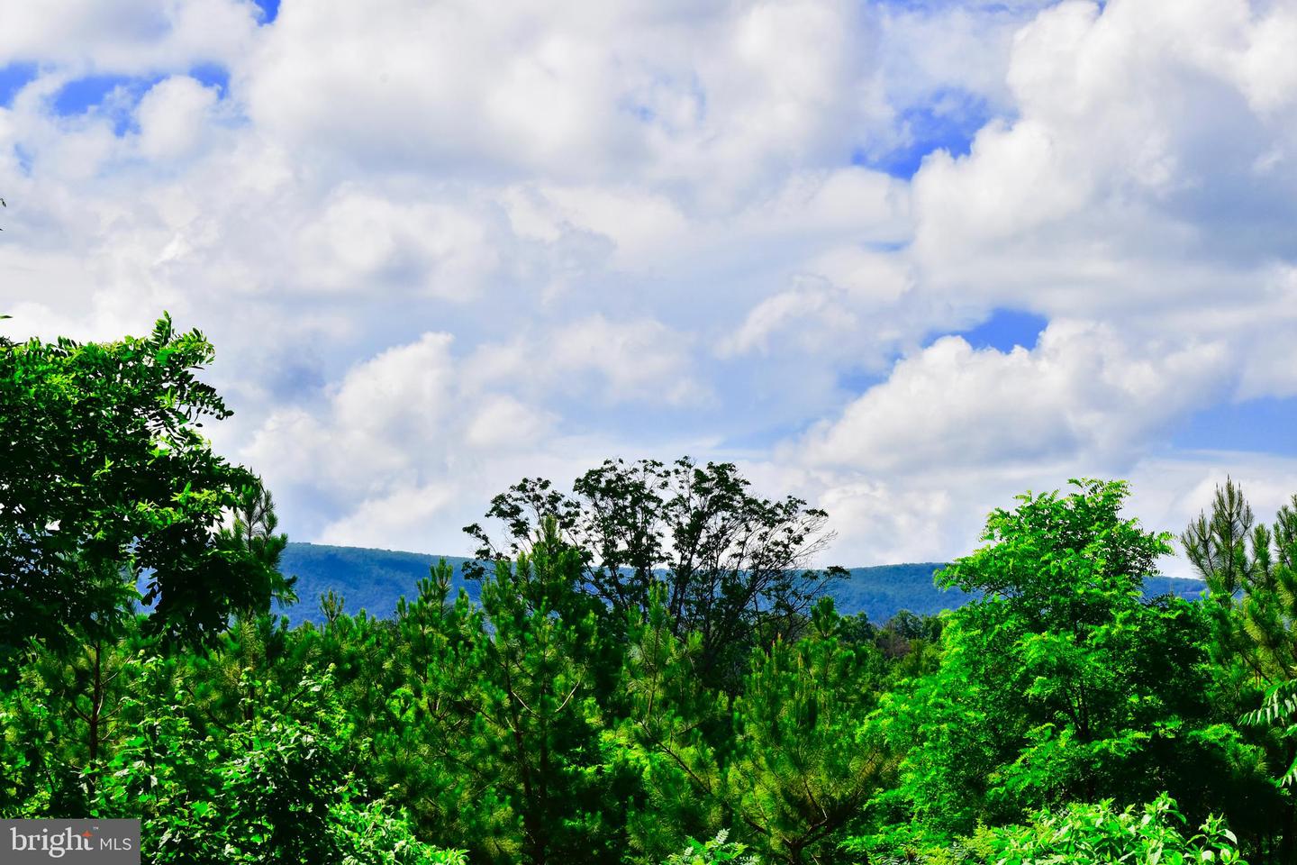 439 ACRES LAUREL GROVE RD., WINCHESTER, Virginia 22602, ,Farm,For sale,439 ACRES LAUREL GROVE RD.,VAFV2024650 MLS # VAFV2024650