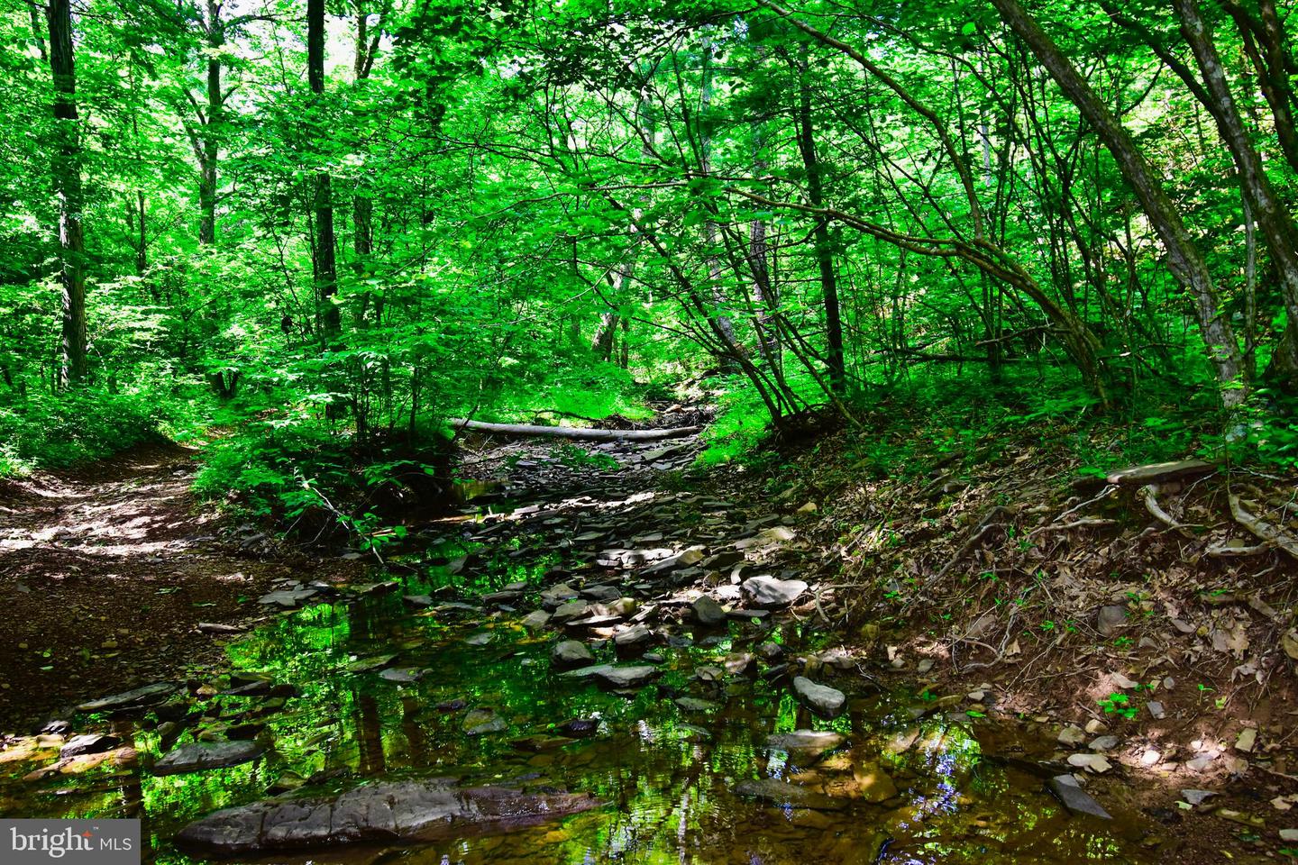 439 ACRES LAUREL GROVE RD., WINCHESTER, Virginia 22602, ,Farm,For sale,439 ACRES LAUREL GROVE RD.,VAFV2024650 MLS # VAFV2024650