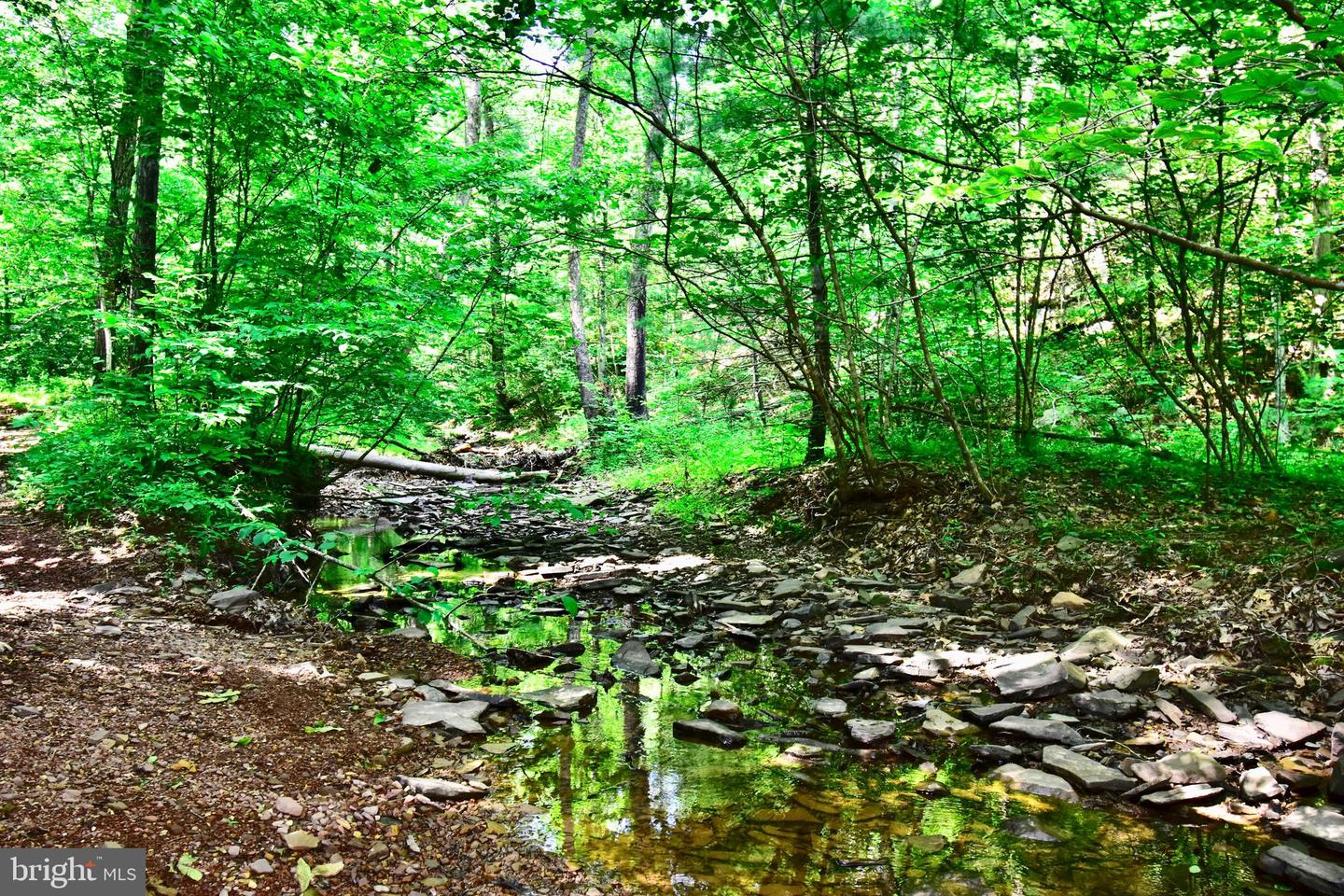 439 ACRES LAUREL GROVE RD., WINCHESTER, Virginia 22602, ,Farm,For sale,439 ACRES LAUREL GROVE RD.,VAFV2024650 MLS # VAFV2024650
