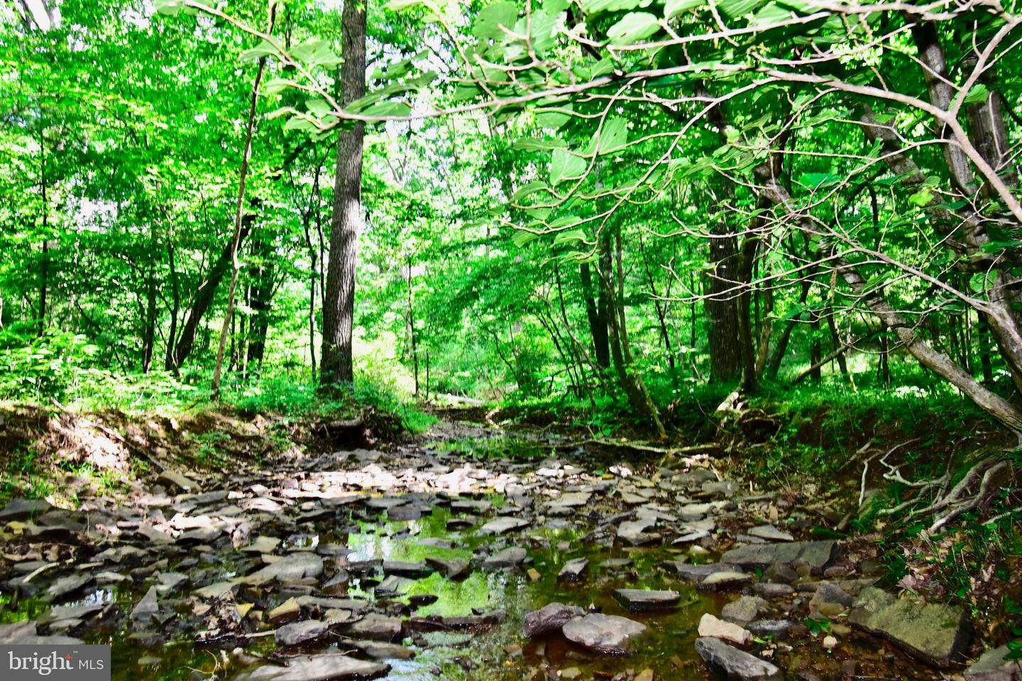439 ACRES LAUREL GROVE RD., WINCHESTER, Virginia 22602, ,Farm,For sale,439 ACRES LAUREL GROVE RD.,VAFV2024650 MLS # VAFV2024650
