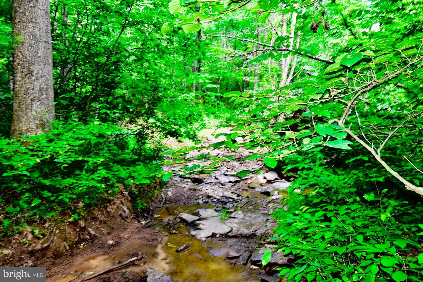 439 ACRES LAUREL GROVE RD., WINCHESTER, Virginia 22602, ,Farm,For sale,439 ACRES LAUREL GROVE RD.,VAFV2024650 MLS # VAFV2024650