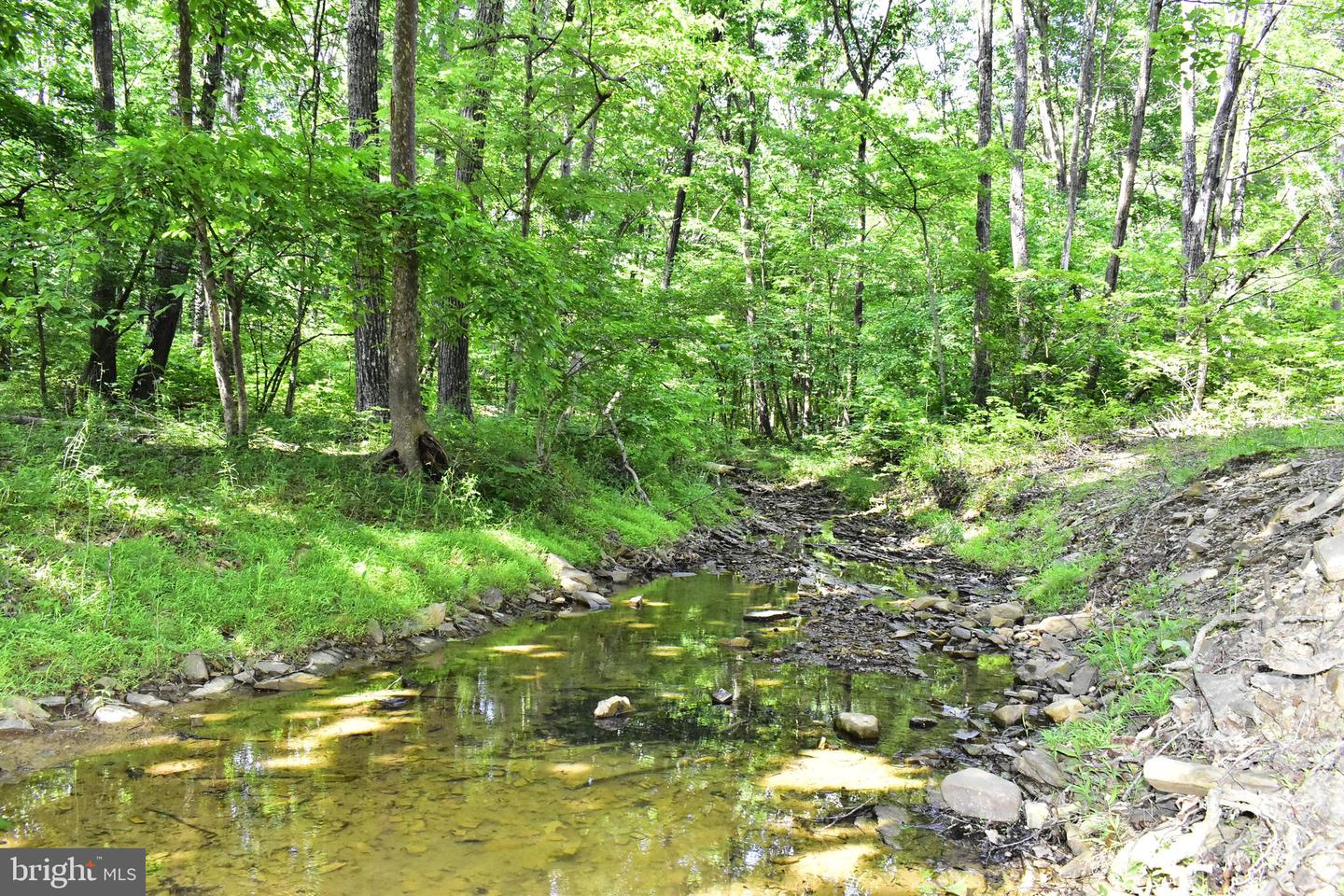 439 ACRES LAUREL GROVE RD., WINCHESTER, Virginia 22602, ,Farm,For sale,439 ACRES LAUREL GROVE RD.,VAFV2024650 MLS # VAFV2024650