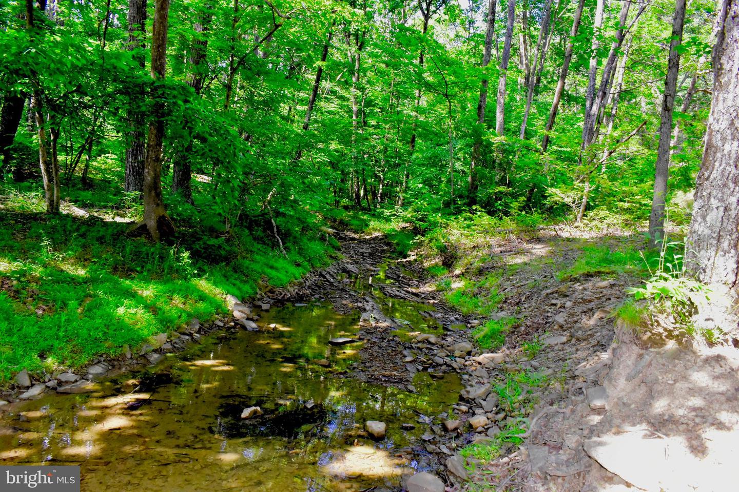439 ACRES LAUREL GROVE RD., WINCHESTER, Virginia 22602, ,Farm,For sale,439 ACRES LAUREL GROVE RD.,VAFV2024650 MLS # VAFV2024650