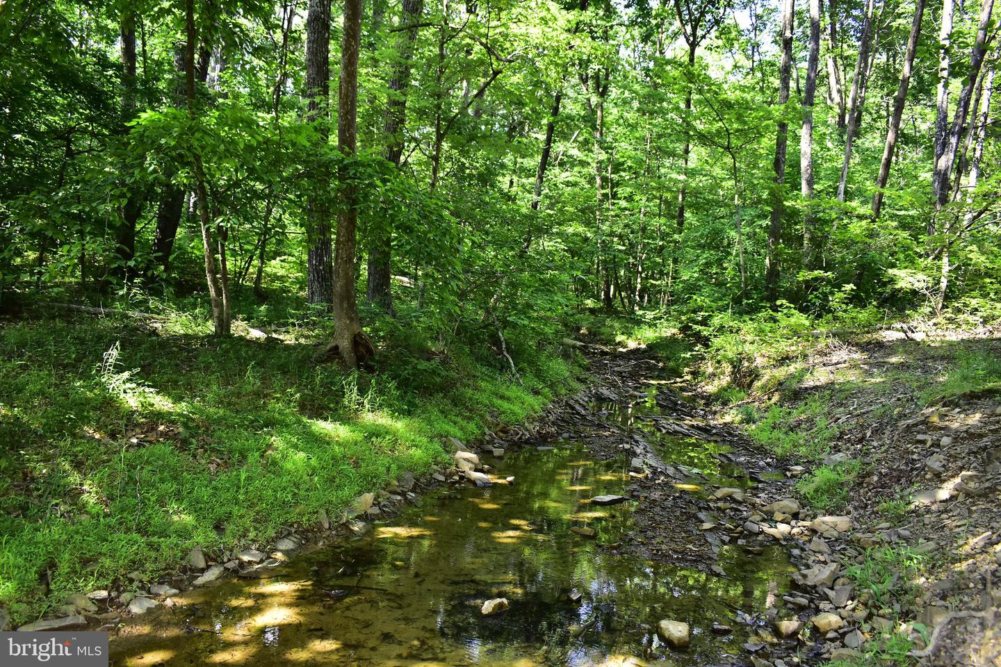 439 ACRES LAUREL GROVE RD., WINCHESTER, Virginia 22602, ,Farm,For sale,439 ACRES LAUREL GROVE RD.,VAFV2024650 MLS # VAFV2024650