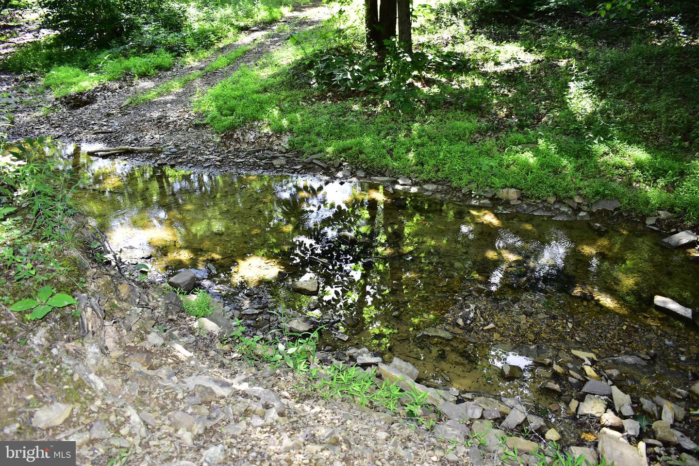 439 ACRES LAUREL GROVE RD., WINCHESTER, Virginia 22602, ,Farm,For sale,439 ACRES LAUREL GROVE RD.,VAFV2024650 MLS # VAFV2024650
