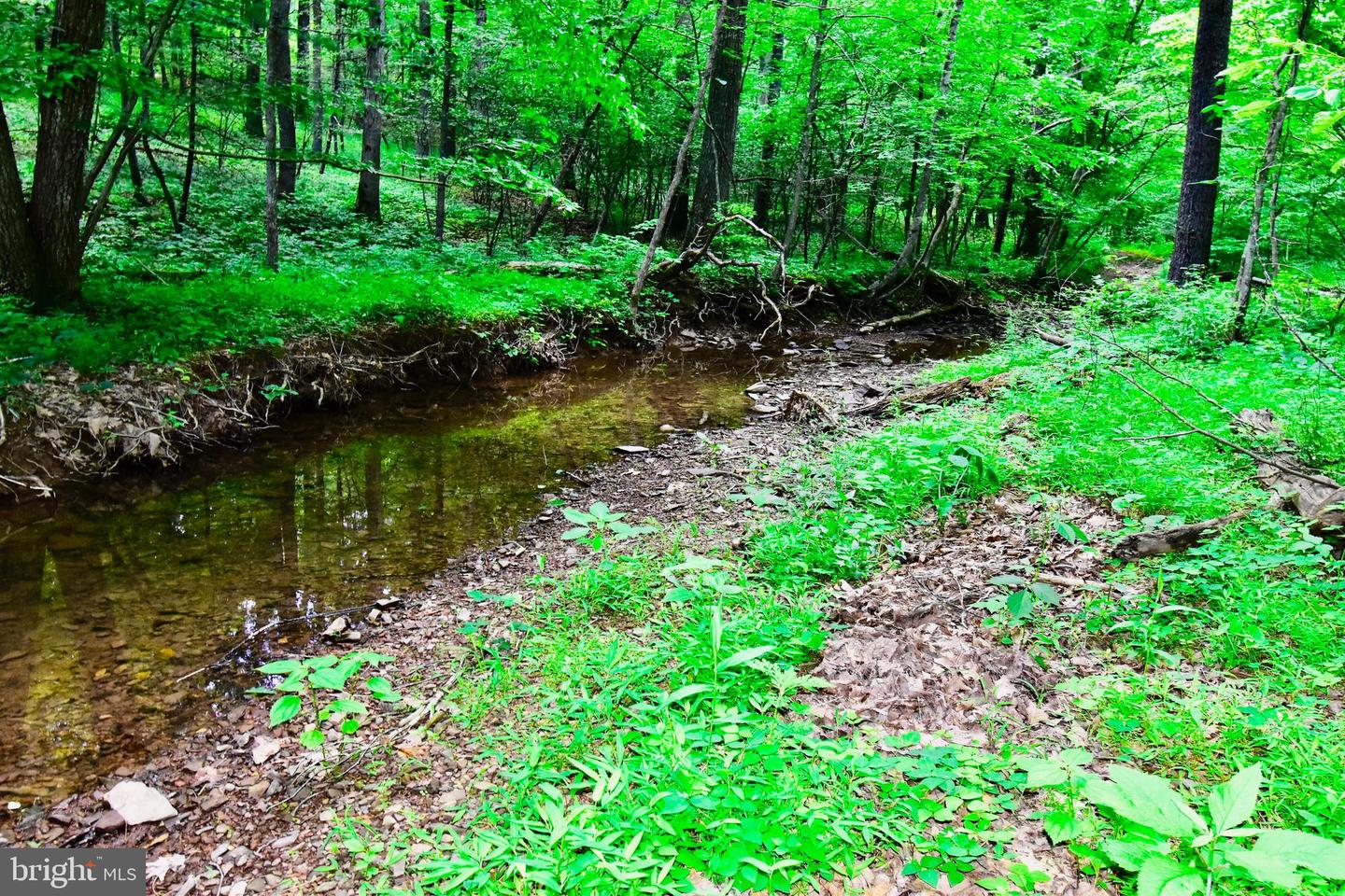 439 ACRES LAUREL GROVE RD., WINCHESTER, Virginia 22602, ,Farm,For sale,439 ACRES LAUREL GROVE RD.,VAFV2024650 MLS # VAFV2024650