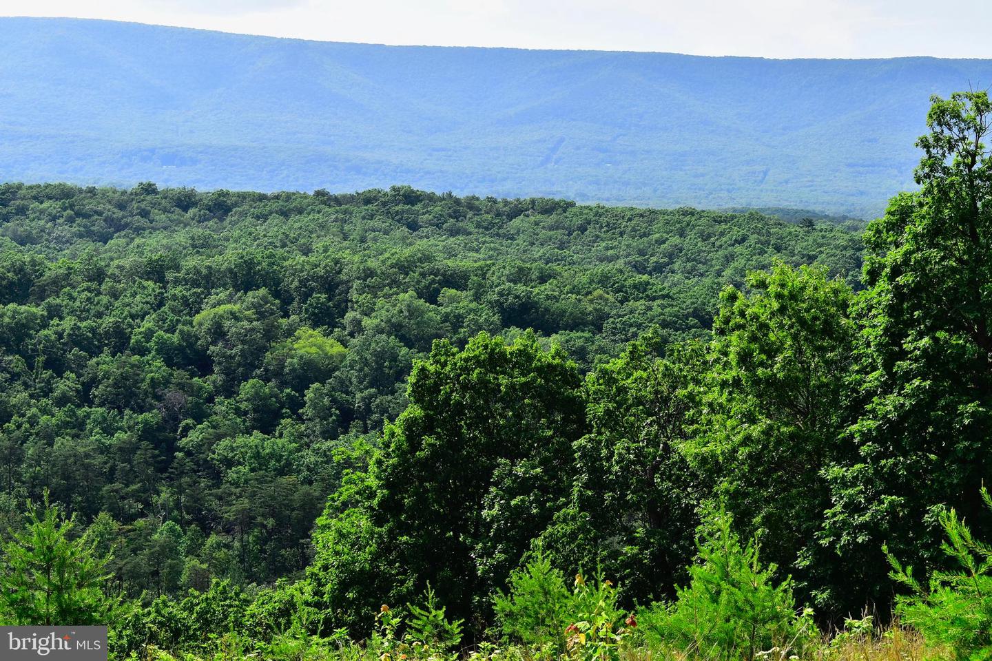439 ACRES LAUREL GROVE RD., WINCHESTER, Virginia 22602, ,Farm,For sale,439 ACRES LAUREL GROVE RD.,VAFV2024650 MLS # VAFV2024650