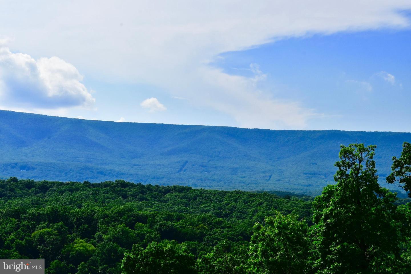 439 ACRES LAUREL GROVE RD., WINCHESTER, Virginia 22602, ,Farm,For sale,439 ACRES LAUREL GROVE RD.,VAFV2024650 MLS # VAFV2024650