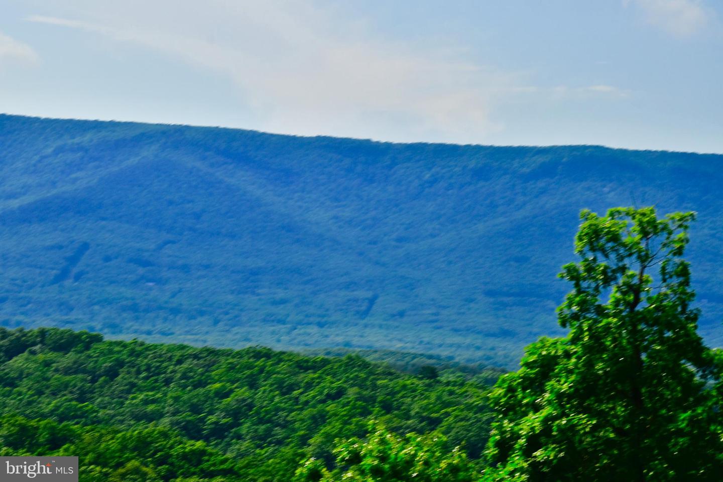 439 ACRES LAUREL GROVE RD., WINCHESTER, Virginia 22602, ,Farm,For sale,439 ACRES LAUREL GROVE RD.,VAFV2024650 MLS # VAFV2024650