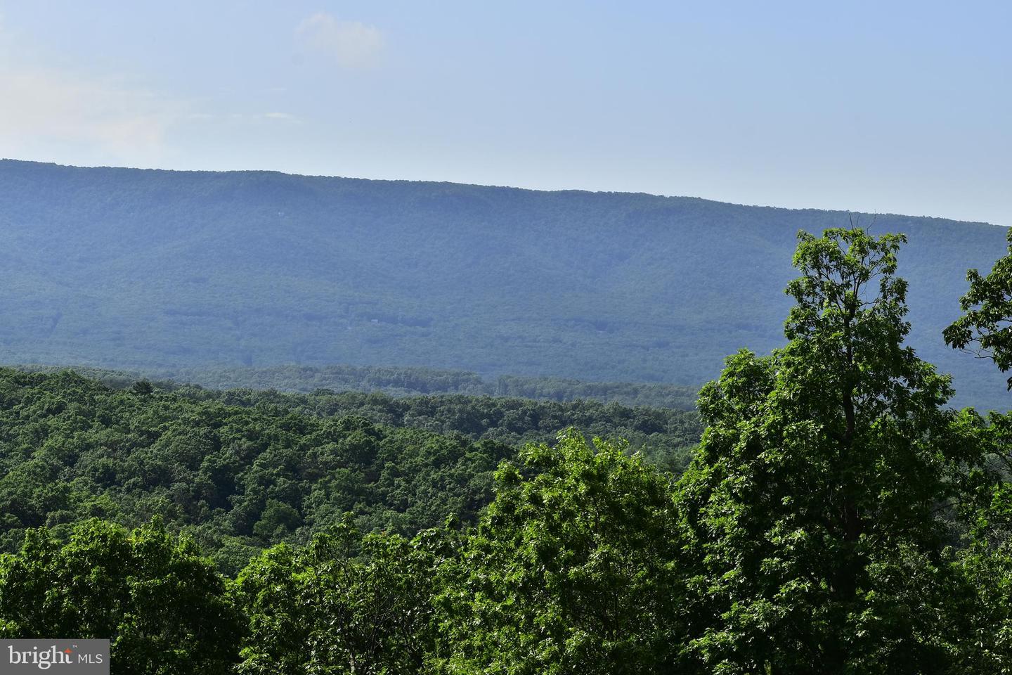 439 ACRES LAUREL GROVE RD., WINCHESTER, Virginia 22602, ,Farm,For sale,439 ACRES LAUREL GROVE RD.,VAFV2024650 MLS # VAFV2024650