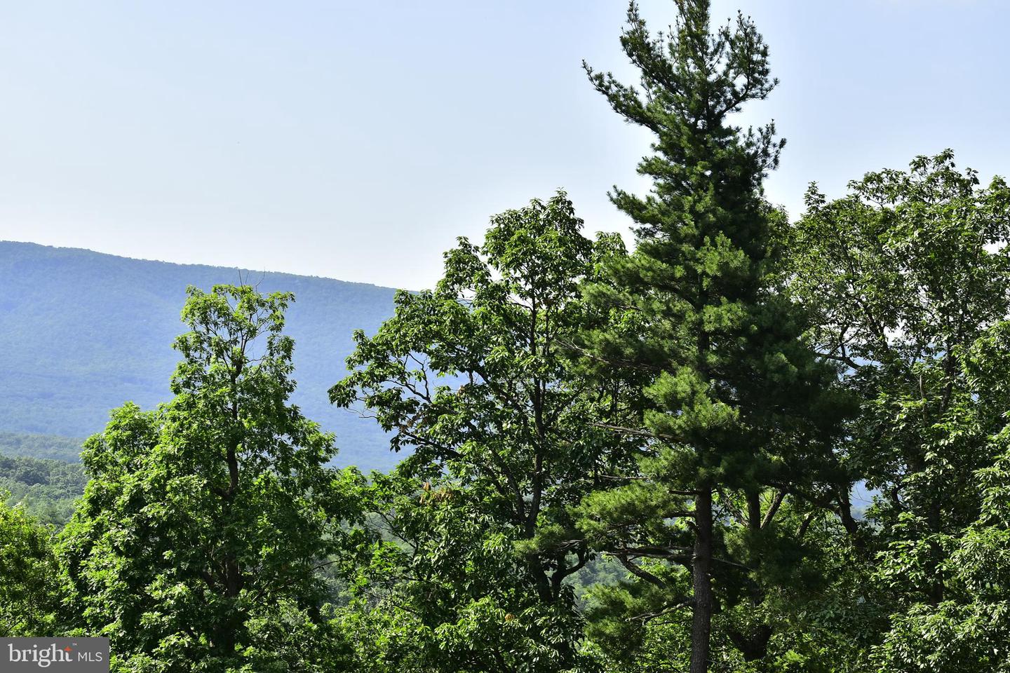439 ACRES LAUREL GROVE RD., WINCHESTER, Virginia 22602, ,Farm,For sale,439 ACRES LAUREL GROVE RD.,VAFV2024650 MLS # VAFV2024650