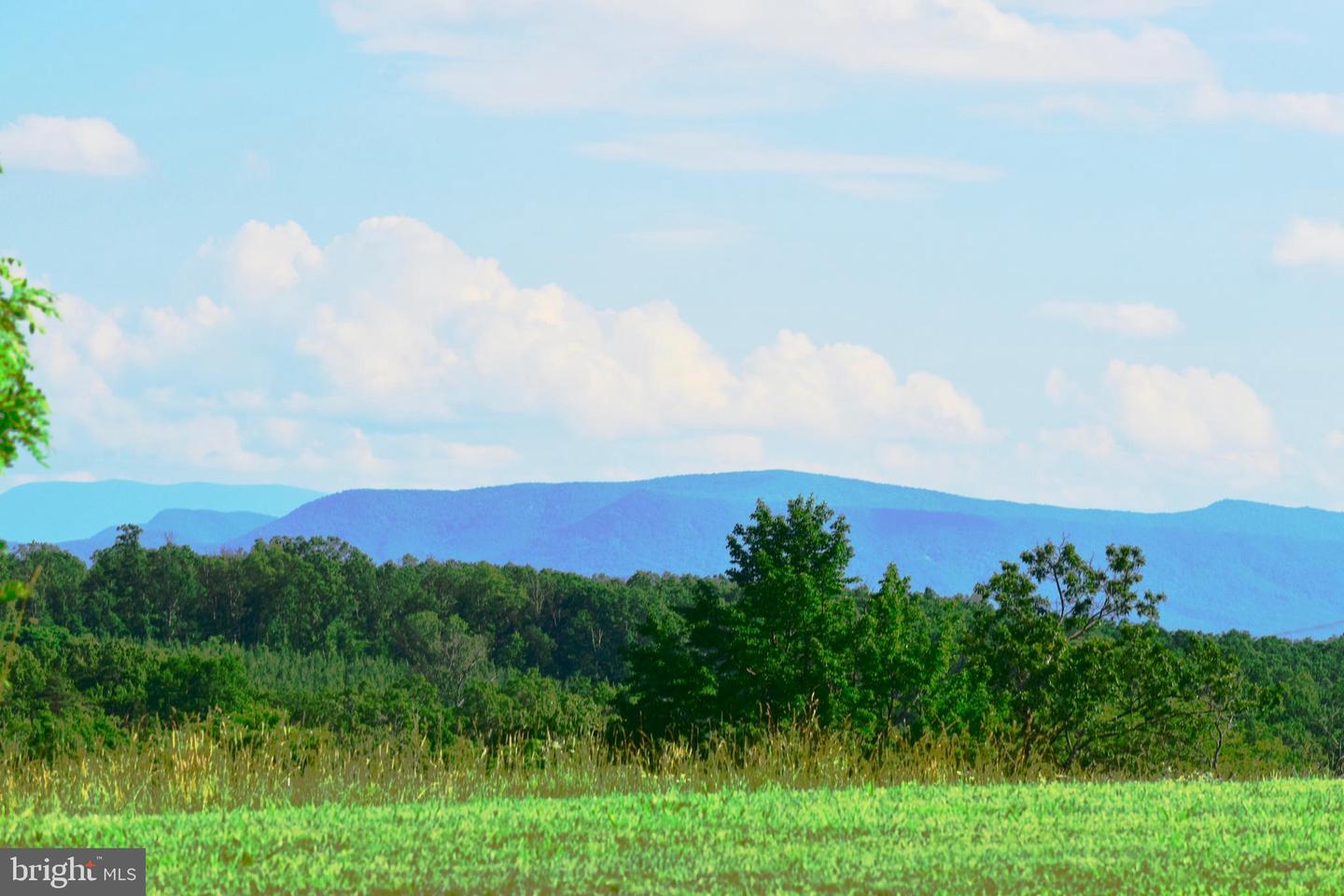 439 ACRES LAUREL GROVE RD., WINCHESTER, Virginia 22602, ,Farm,For sale,439 ACRES LAUREL GROVE RD.,VAFV2024650 MLS # VAFV2024650