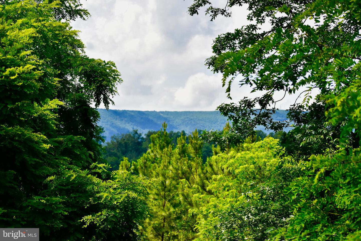 439 ACRES LAUREL GROVE RD., WINCHESTER, Virginia 22602, ,Farm,For sale,439 ACRES LAUREL GROVE RD.,VAFV2024650 MLS # VAFV2024650