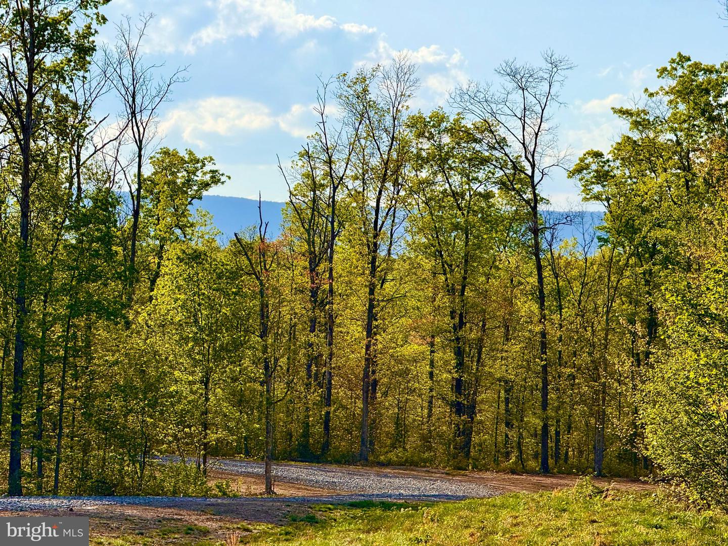 439 ACRES LAUREL GROVE RD., WINCHESTER, Virginia 22602, ,Farm,For sale,439 ACRES LAUREL GROVE RD.,VAFV2024650 MLS # VAFV2024650