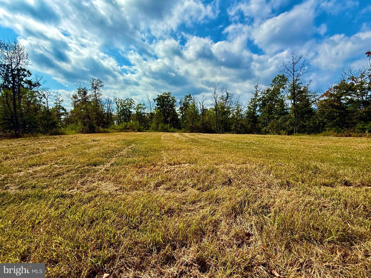 439 ACRES LAUREL GROVE RD., WINCHESTER, Virginia 22602, ,Farm,For sale,439 ACRES LAUREL GROVE RD.,VAFV2024650 MLS # VAFV2024650