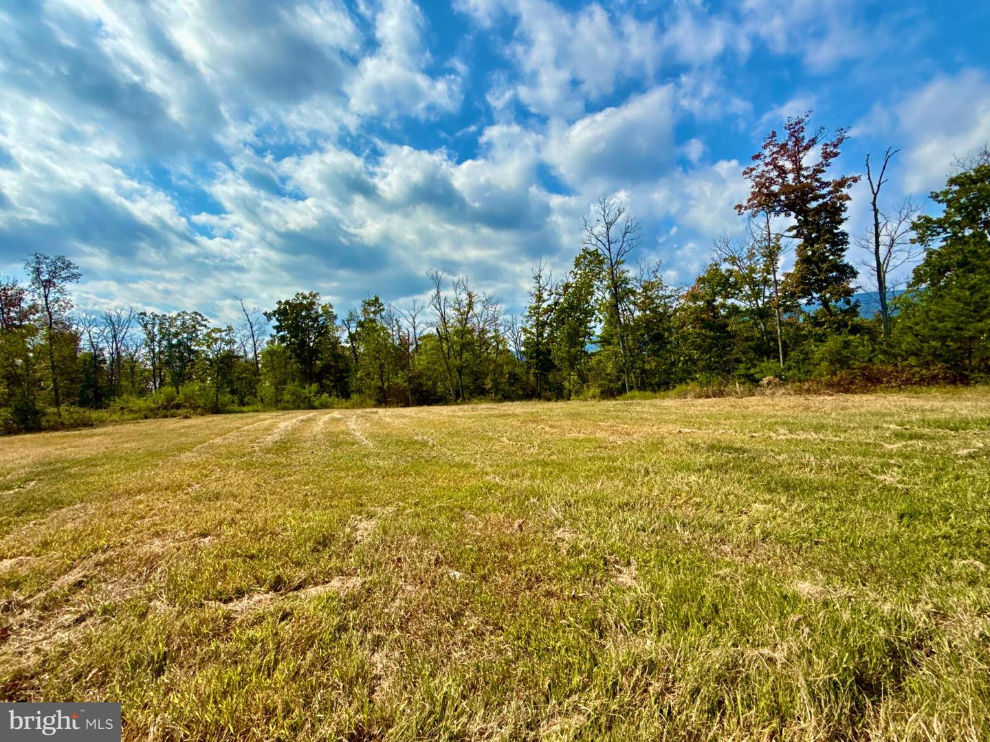 439 ACRES LAUREL GROVE RD., WINCHESTER, Virginia 22602, ,Farm,For sale,439 ACRES LAUREL GROVE RD.,VAFV2024650 MLS # VAFV2024650