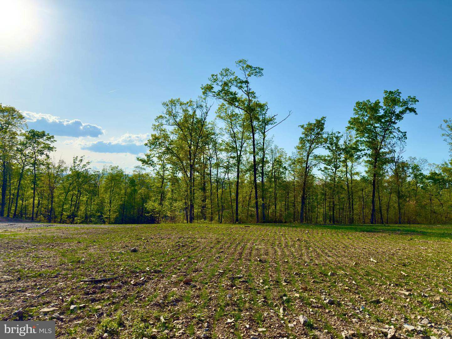 439 ACRES LAUREL GROVE RD., WINCHESTER, Virginia 22602, ,Farm,For sale,439 ACRES LAUREL GROVE RD.,VAFV2024650 MLS # VAFV2024650