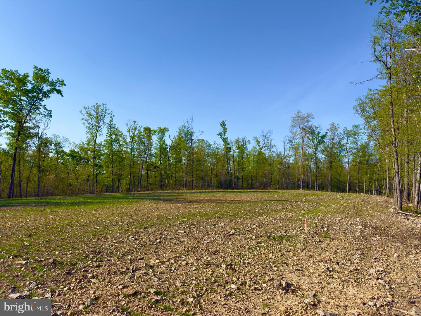 439 ACRES LAUREL GROVE RD., WINCHESTER, Virginia 22602, ,Farm,For sale,439 ACRES LAUREL GROVE RD.,VAFV2024650 MLS # VAFV2024650