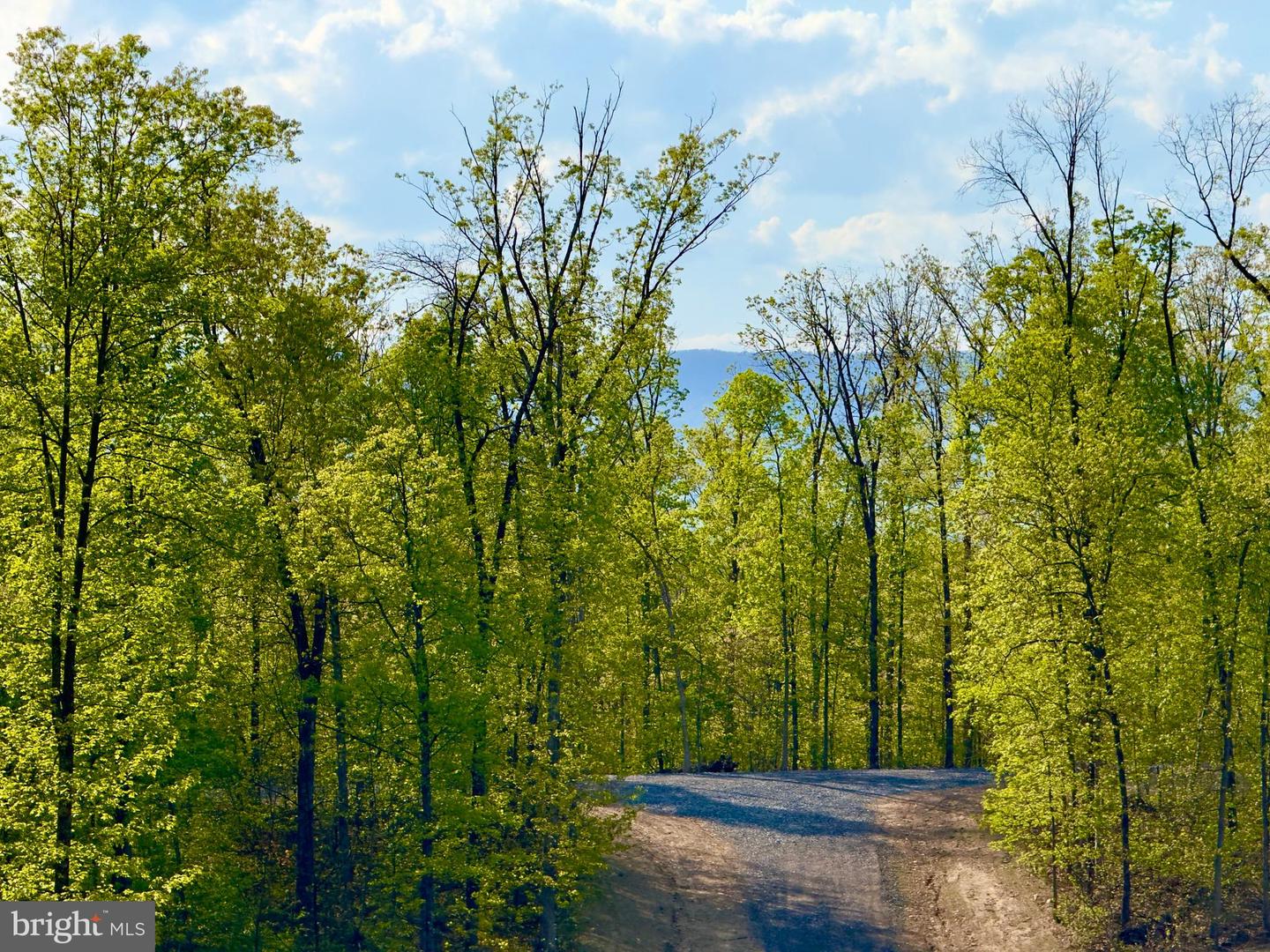 439 ACRES LAUREL GROVE RD., WINCHESTER, Virginia 22602, ,Farm,For sale,439 ACRES LAUREL GROVE RD.,VAFV2024650 MLS # VAFV2024650