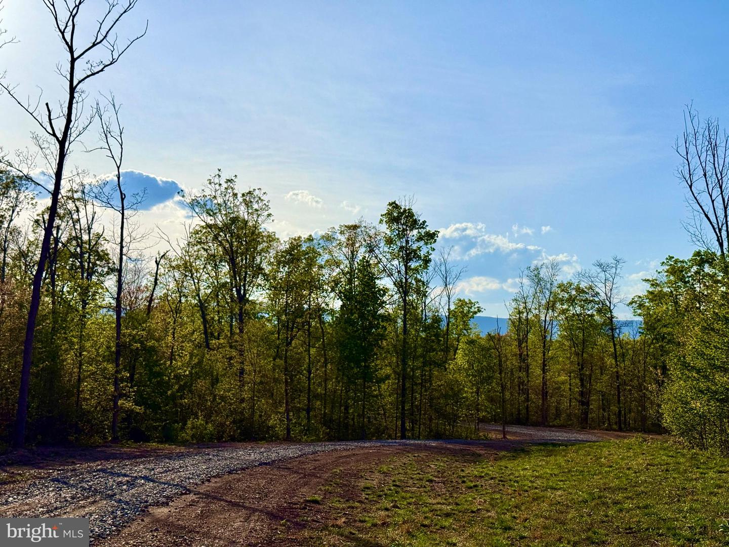 439 ACRES LAUREL GROVE RD., WINCHESTER, Virginia 22602, ,Farm,For sale,439 ACRES LAUREL GROVE RD.,VAFV2024650 MLS # VAFV2024650