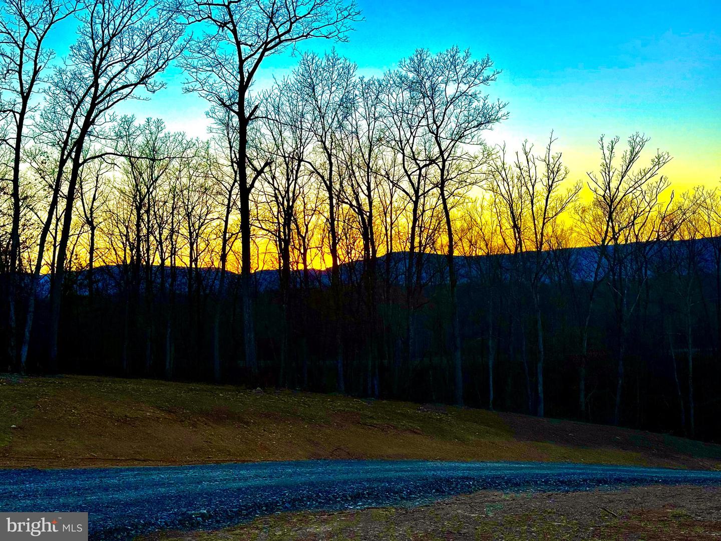 439 ACRES LAUREL GROVE RD., WINCHESTER, Virginia 22602, ,Farm,For sale,439 ACRES LAUREL GROVE RD.,VAFV2024650 MLS # VAFV2024650