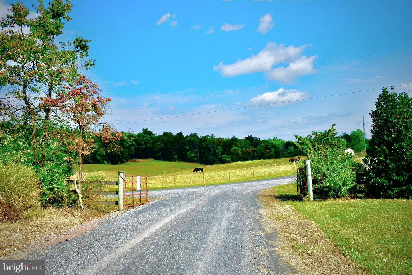 439 ACRES LAUREL GROVE RD., WINCHESTER, Virginia 22602, ,Farm,For sale,439 ACRES LAUREL GROVE RD.,VAFV2024650 MLS # VAFV2024650
