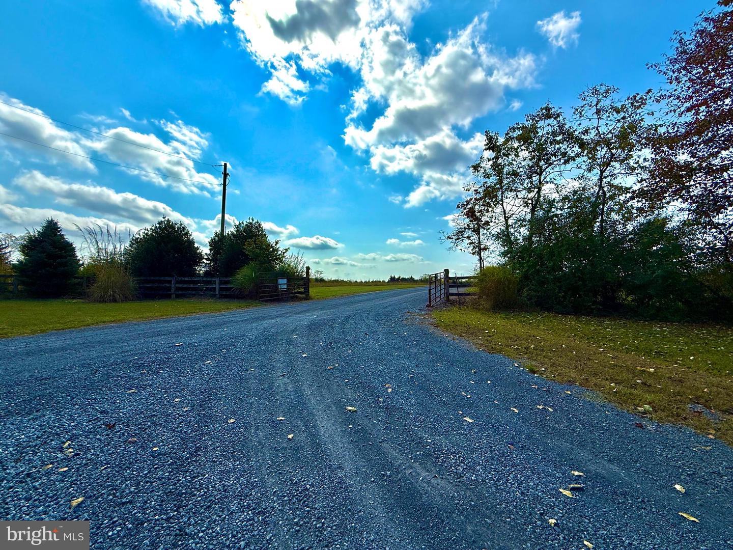 439 ACRES LAUREL GROVE RD., WINCHESTER, Virginia 22602, ,Farm,For sale,439 ACRES LAUREL GROVE RD.,VAFV2024650 MLS # VAFV2024650
