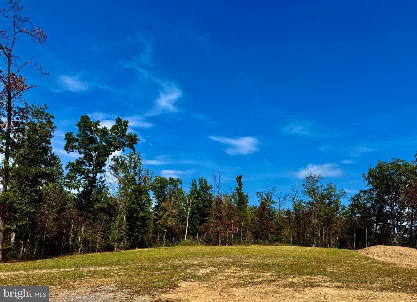 439 ACRES LAUREL GROVE RD., WINCHESTER, Virginia 22602, ,Farm,For sale,439 ACRES LAUREL GROVE RD.,VAFV2024650 MLS # VAFV2024650