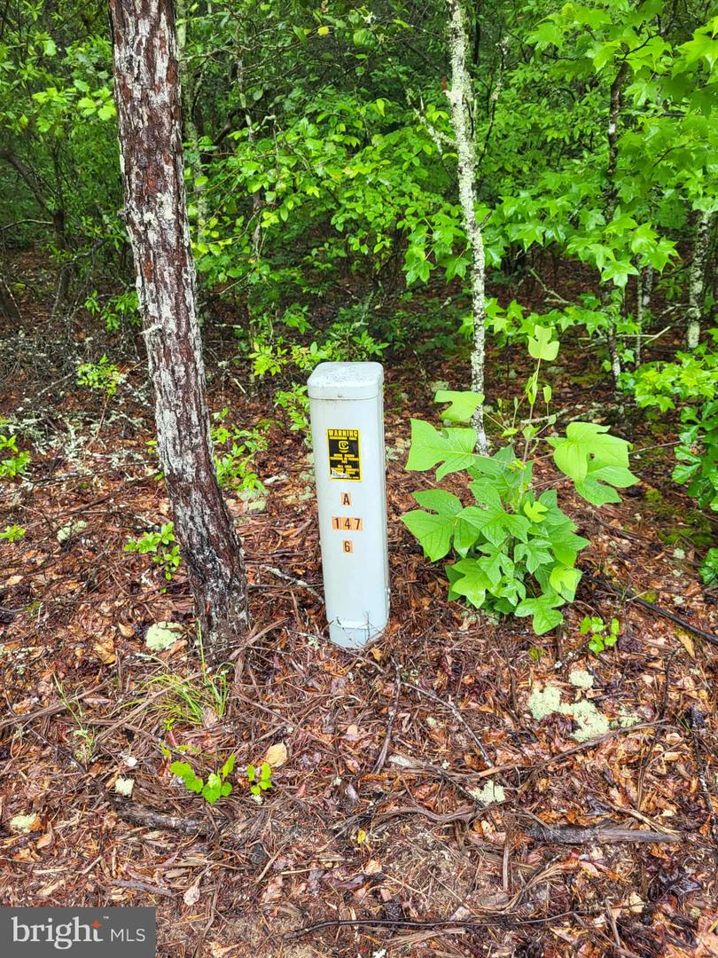 LOT 12 DRAGON FARM, LITTLE PLYMOUTH, Virginia 23091, ,Land,For sale,LOT 12 DRAGON FARM,VAKQ2000180 MLS # VAKQ2000180