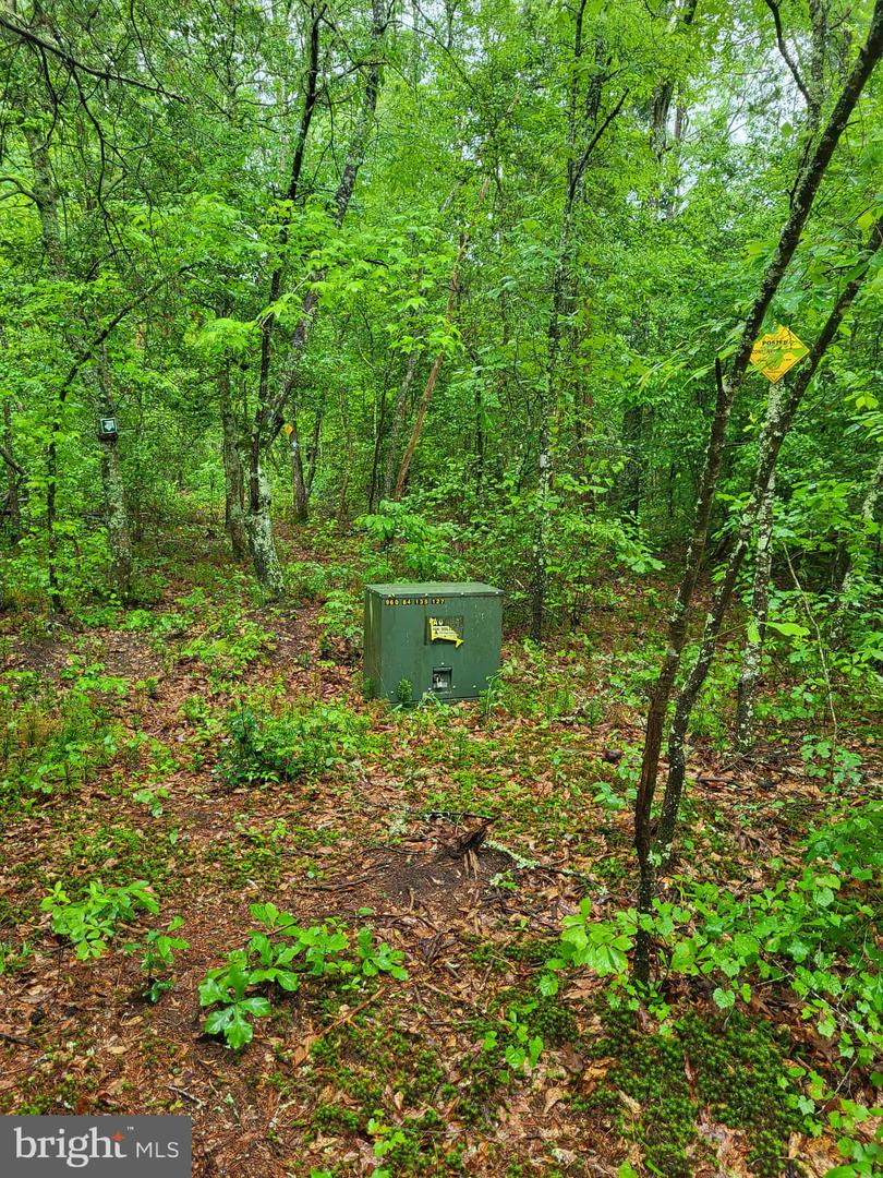 LOT 12 DRAGON FARM, LITTLE PLYMOUTH, Virginia 23091, ,Land,For sale,LOT 12 DRAGON FARM,VAKQ2000180 MLS # VAKQ2000180