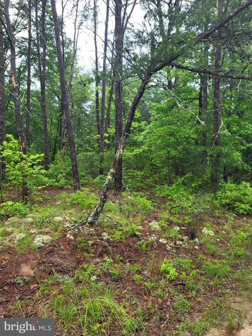 LOT 12 DRAGON FARM, LITTLE PLYMOUTH, Virginia 23091, ,Land,For sale,LOT 12 DRAGON FARM,VAKQ2000180 MLS # VAKQ2000180