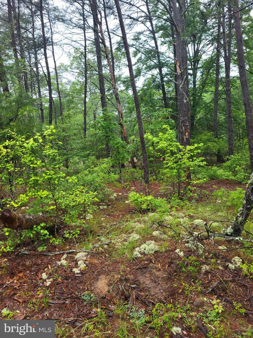 LOT 12 DRAGON FARM, LITTLE PLYMOUTH, Virginia 23091, ,Land,For sale,LOT 12 DRAGON FARM,VAKQ2000180 MLS # VAKQ2000180