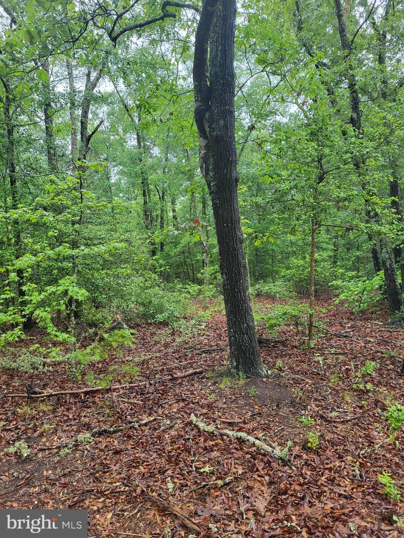 LOT 12 DRAGON FARM, LITTLE PLYMOUTH, Virginia 23091, ,Land,For sale,LOT 12 DRAGON FARM,VAKQ2000180 MLS # VAKQ2000180