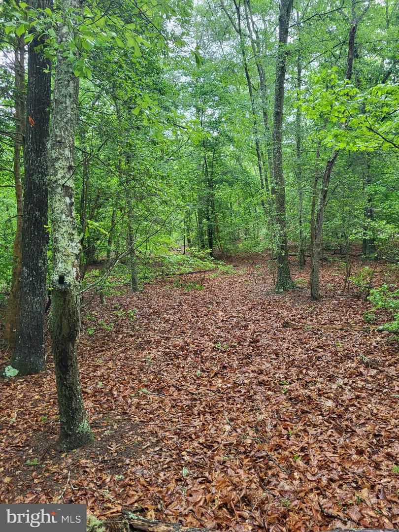 LOT 12 DRAGON FARM, LITTLE PLYMOUTH, Virginia 23091, ,Land,For sale,LOT 12 DRAGON FARM,VAKQ2000180 MLS # VAKQ2000180