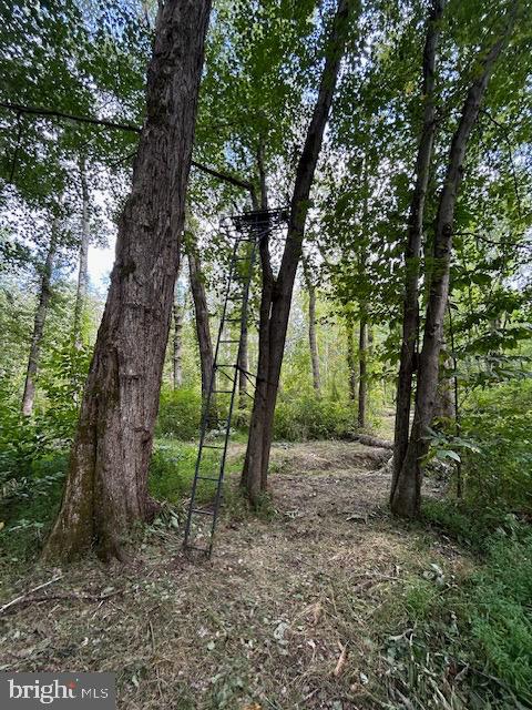 LUTTREVILLE LN, FARNHAM, Virginia 22460, ,Land,For sale,LUTTREVILLE LN,VARV2000552 MLS # VARV2000552