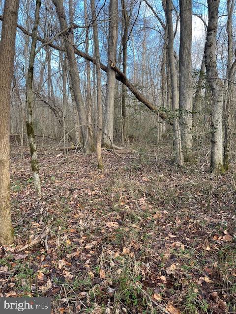 LUTTREVILLE LN, FARNHAM, Virginia 22460, ,Land,For sale,LUTTREVILLE LN,VARV2000552 MLS # VARV2000552