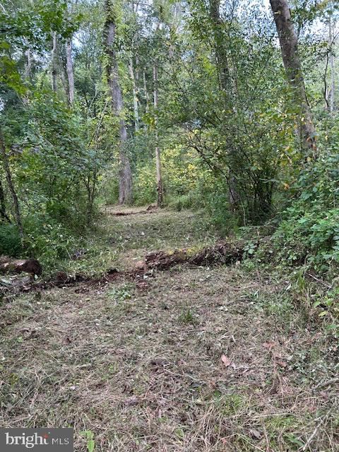LUTTREVILLE LN, FARNHAM, Virginia 22460, ,Land,For sale,LUTTREVILLE LN,VARV2000552 MLS # VARV2000552