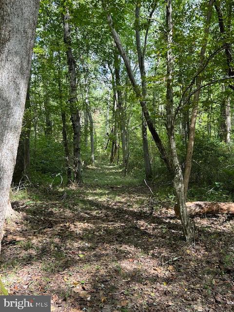 LUTTREVILLE LN, FARNHAM, Virginia 22460, ,Land,For sale,LUTTREVILLE LN,VARV2000552 MLS # VARV2000552