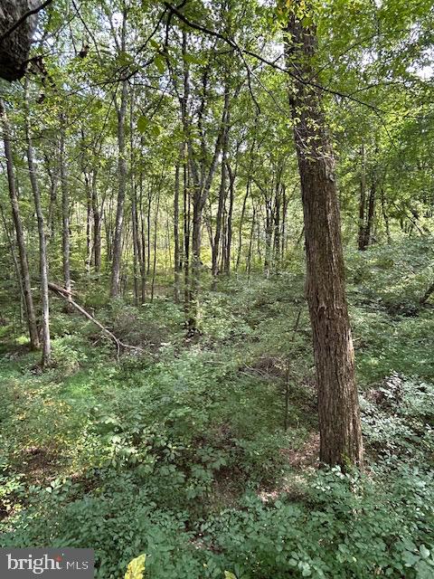 LUTTREVILLE LN, FARNHAM, Virginia 22460, ,Land,For sale,LUTTREVILLE LN,VARV2000552 MLS # VARV2000552