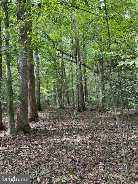 LUTTREVILLE LN, FARNHAM, Virginia 22460, ,Land,For sale,LUTTREVILLE LN,VARV2000552 MLS # VARV2000552