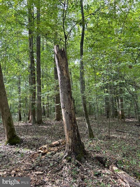 LUTTREVILLE LN, FARNHAM, Virginia 22460, ,Land,For sale,LUTTREVILLE LN,VARV2000552 MLS # VARV2000552