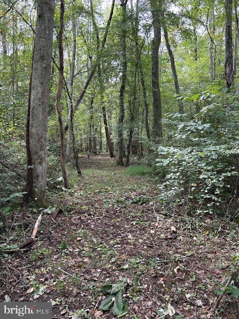 LUTTREVILLE LN, FARNHAM, Virginia 22460, ,Land,For sale,LUTTREVILLE LN,VARV2000552 MLS # VARV2000552