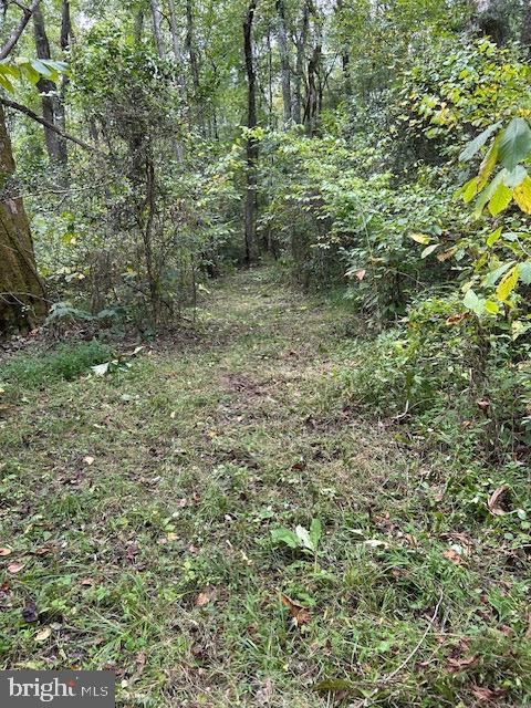 LUTTREVILLE LN, FARNHAM, Virginia 22460, ,Land,For sale,LUTTREVILLE LN,VARV2000552 MLS # VARV2000552