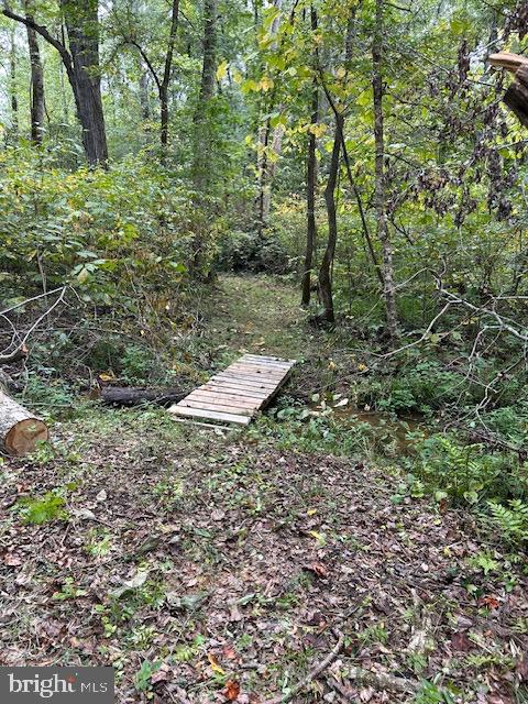 LUTTREVILLE LN, FARNHAM, Virginia 22460, ,Land,For sale,LUTTREVILLE LN,VARV2000552 MLS # VARV2000552