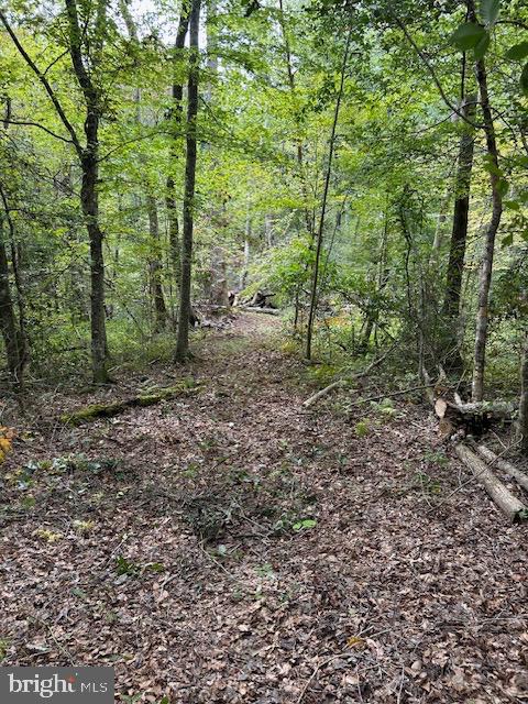 LUTTREVILLE LN, FARNHAM, Virginia 22460, ,Land,For sale,LUTTREVILLE LN,VARV2000552 MLS # VARV2000552