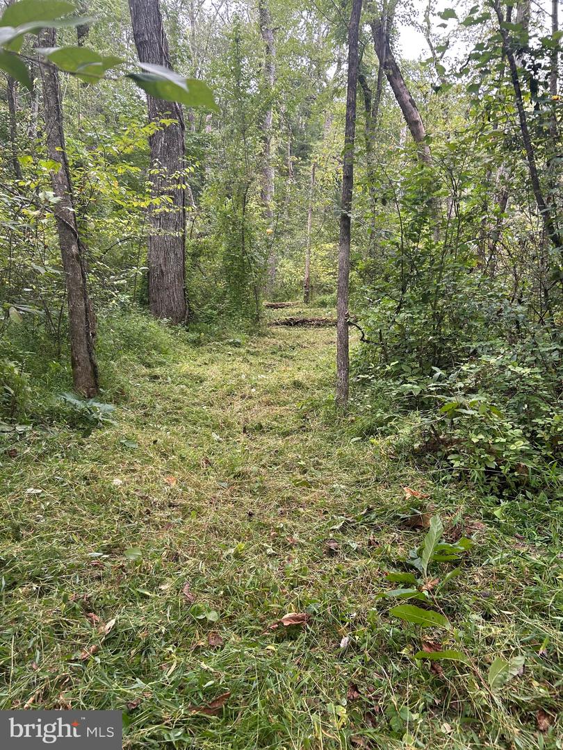 LUTTREVILLE LN, FARNHAM, Virginia 22460, ,Land,For sale,LUTTREVILLE LN,VARV2000552 MLS # VARV2000552