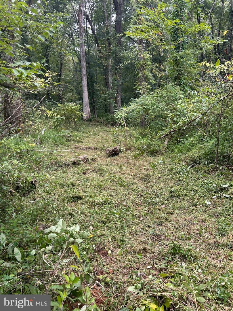LUTTREVILLE LN, FARNHAM, Virginia 22460, ,Land,For sale,LUTTREVILLE LN,VARV2000552 MLS # VARV2000552